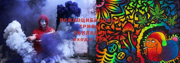 spice Богданович