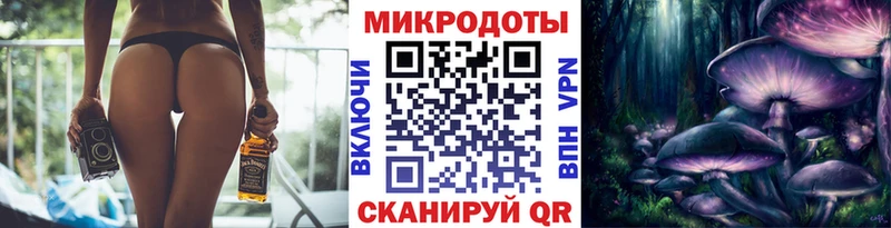 Галлюциногенные грибы Psilocybe Котовск